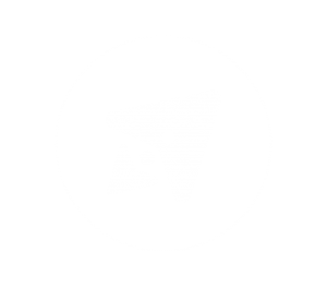 OECKO, écrans interactifs